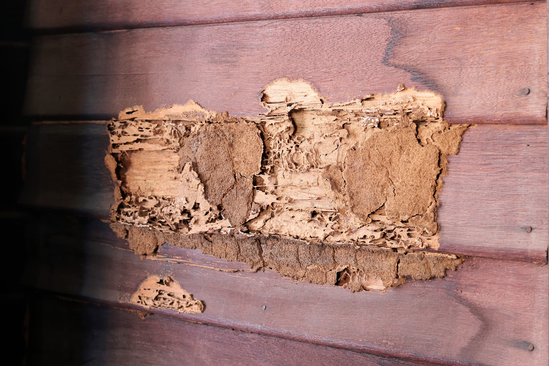 Distorted Wood Surfaces