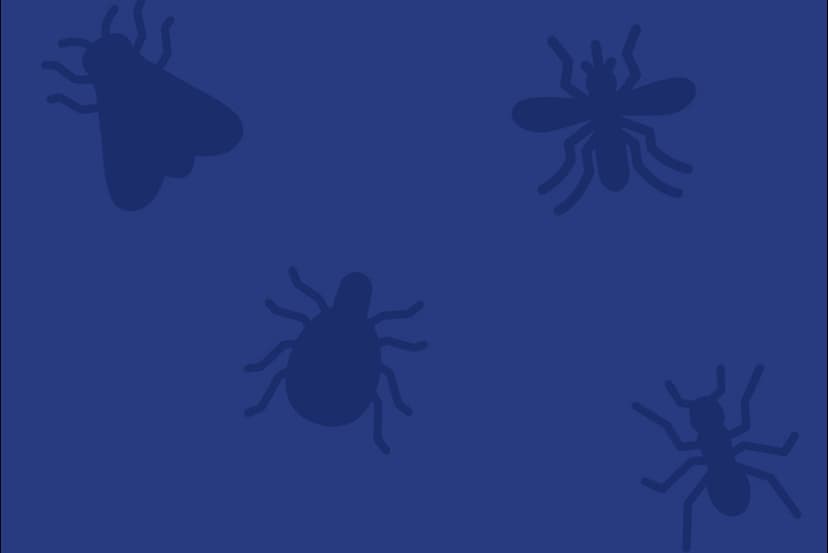 Arrow Exterminators, Parent Company of Hughes Exterminators, Announces the Strategic Acquisition of River City Termite & Pest Control in Baton Rouge, LA
