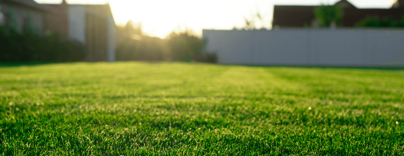 Lawn Services