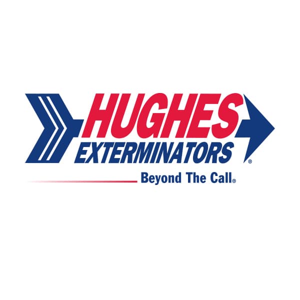 Hughes Answers Even More Burning Bug Questions