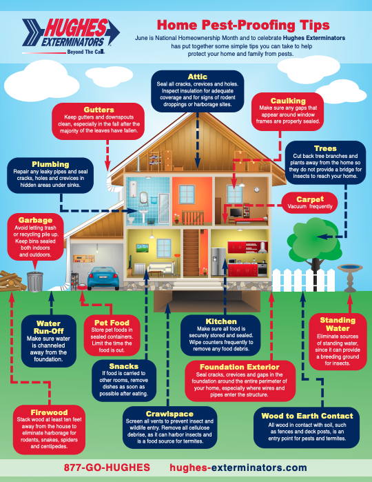 Hughes Exterminators Provides Pest Proofing Tips and Infographic to