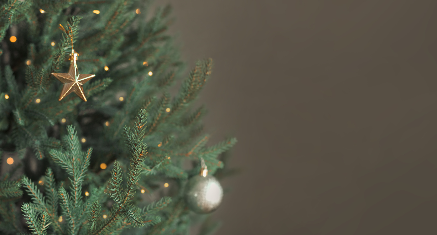 These 6 Pests May Be In Your Holiday Tree, and They Aren’t Ornaments
